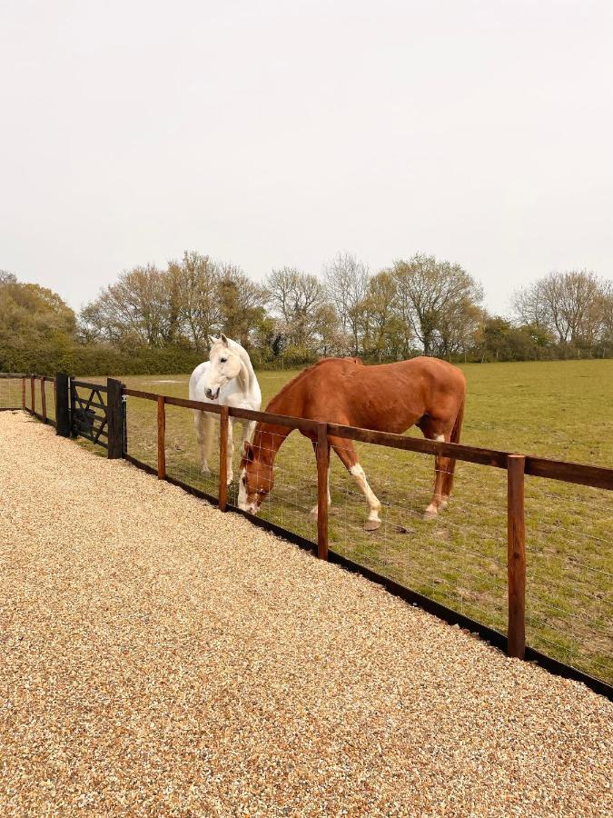 The Hayloft Villa Gestingthorpe Exteriör bild